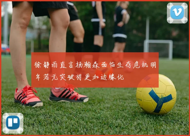 徐静雨直言杨瀚森面临生存危机明年若无突破将更加边缘化